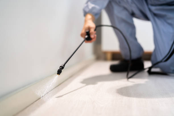 Licensed Termite Control service in Bemiss, GA - Nex Pest Control