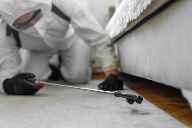 Professional Termite Control technician working in Bemiss, GA