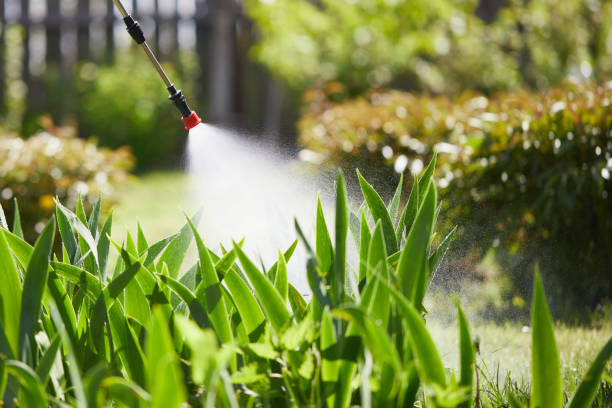 24/7 Emergency Termite Control experts in Bemiss, GA