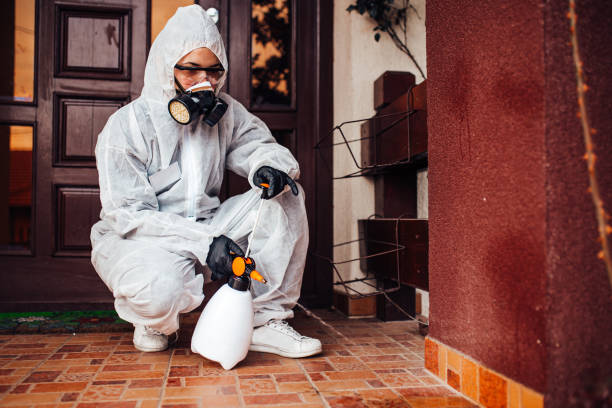 Reliable Termite Control contractor in Bemiss, GA by Nex Pest Control