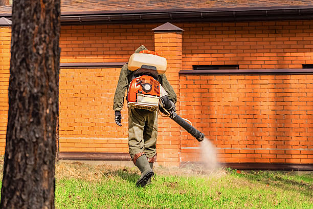 Top rated local Termite Control specialists in Bemiss, GA
